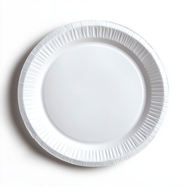 10 inch disposable plate