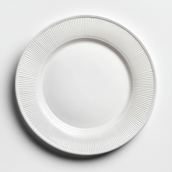 10 inch disposable plate factory