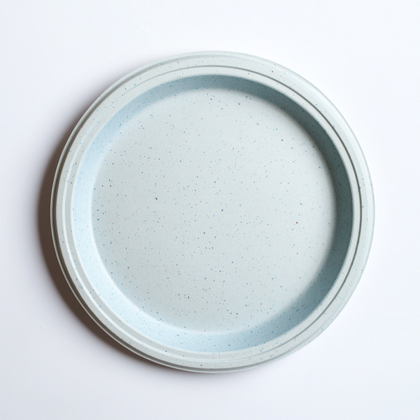 10 inch disposable plate manufacturer China