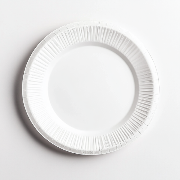 10 inch disposable plate wholesale supplier